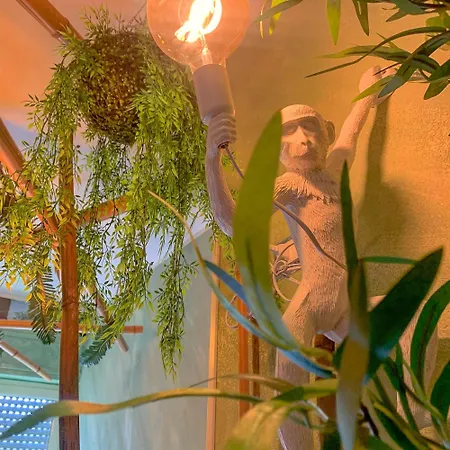Trentova Special Rooms- Locazione Turistica 2* アグローポリ