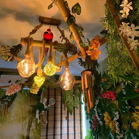 Trentova Special Rooms- Locazione Turistica ゲストハウス アグローポリ