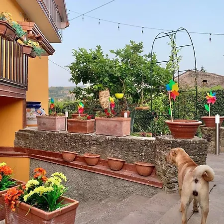 Trentova Special Rooms- Locazione Turistica